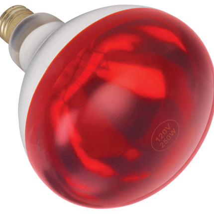 Winco EHL-BR Red Replacement Bulb for Heat Lamps