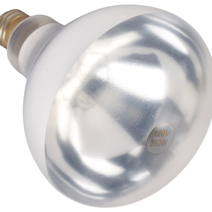 Winco EHL-BW White Replacement Bulb for Heat Lamps